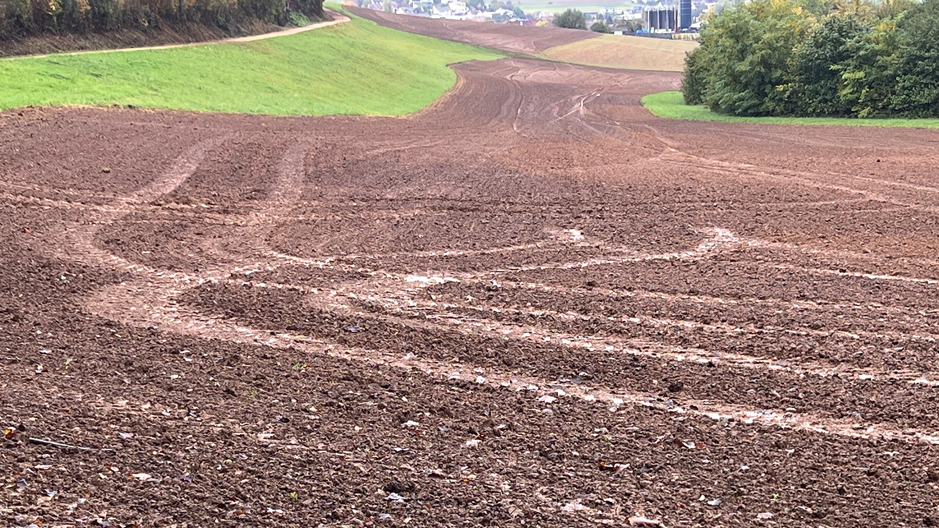 Die Radlast landwirtschaftlicher Fahrzeuge setzt die Böden unter Druck; Bodenverdichtungen sind die Folge, wodurch sich die Wachstumsbedingungen für Pflanzenwurzeln verschlechtern (Bild: FIBL/Hansueli Dierauer).