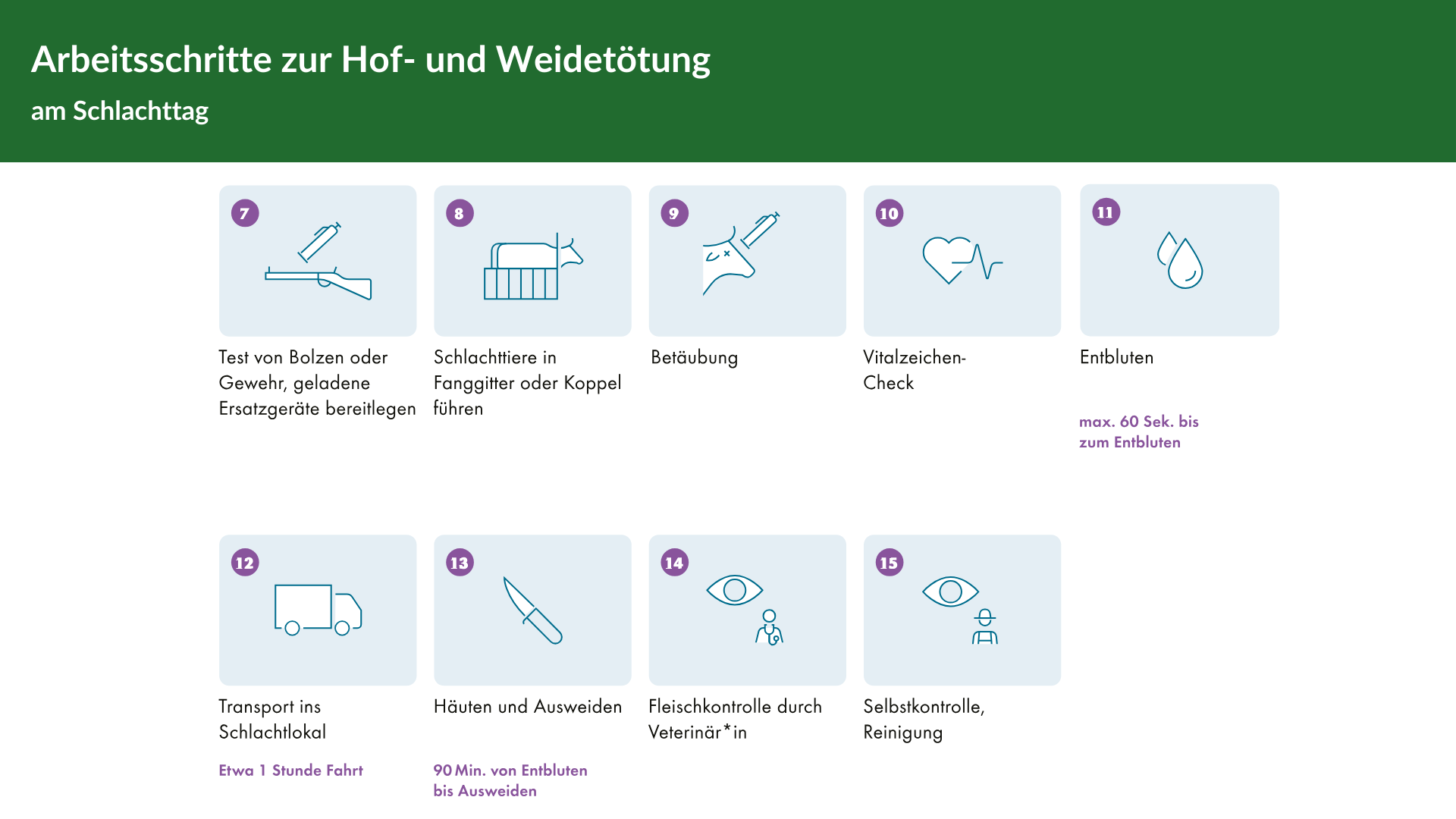 Auch am Schlachttag selbst ist das Vorgehen punkto Hoftötung klar definiert und vorgeschriebene Zeiten müssen genau eingehalten werden (Grafik: Aus: Probst et al., 2024, Hof- und Weidetötung zur Fleischgewinnung, FiBL, Frick, Shop.fibl.org > 1094).