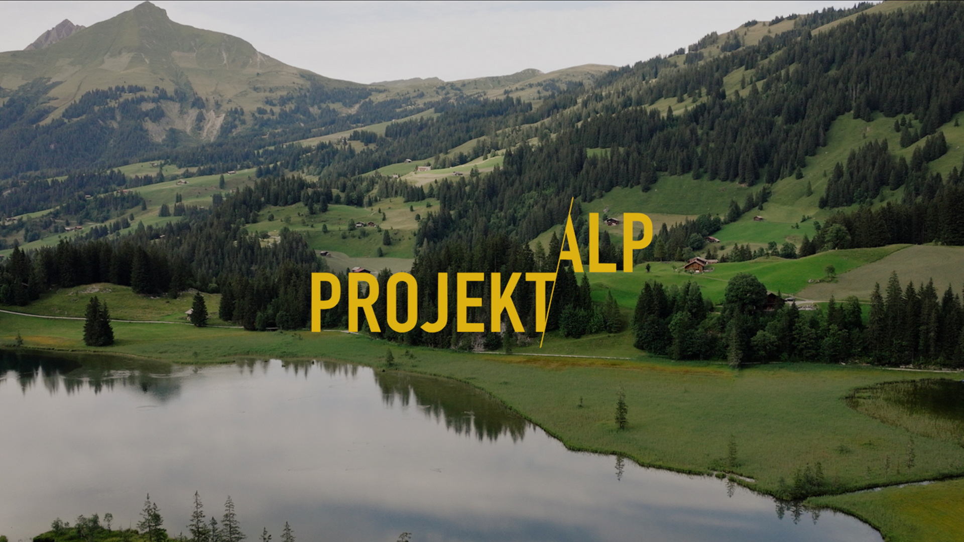 Projekt Alp - Logo