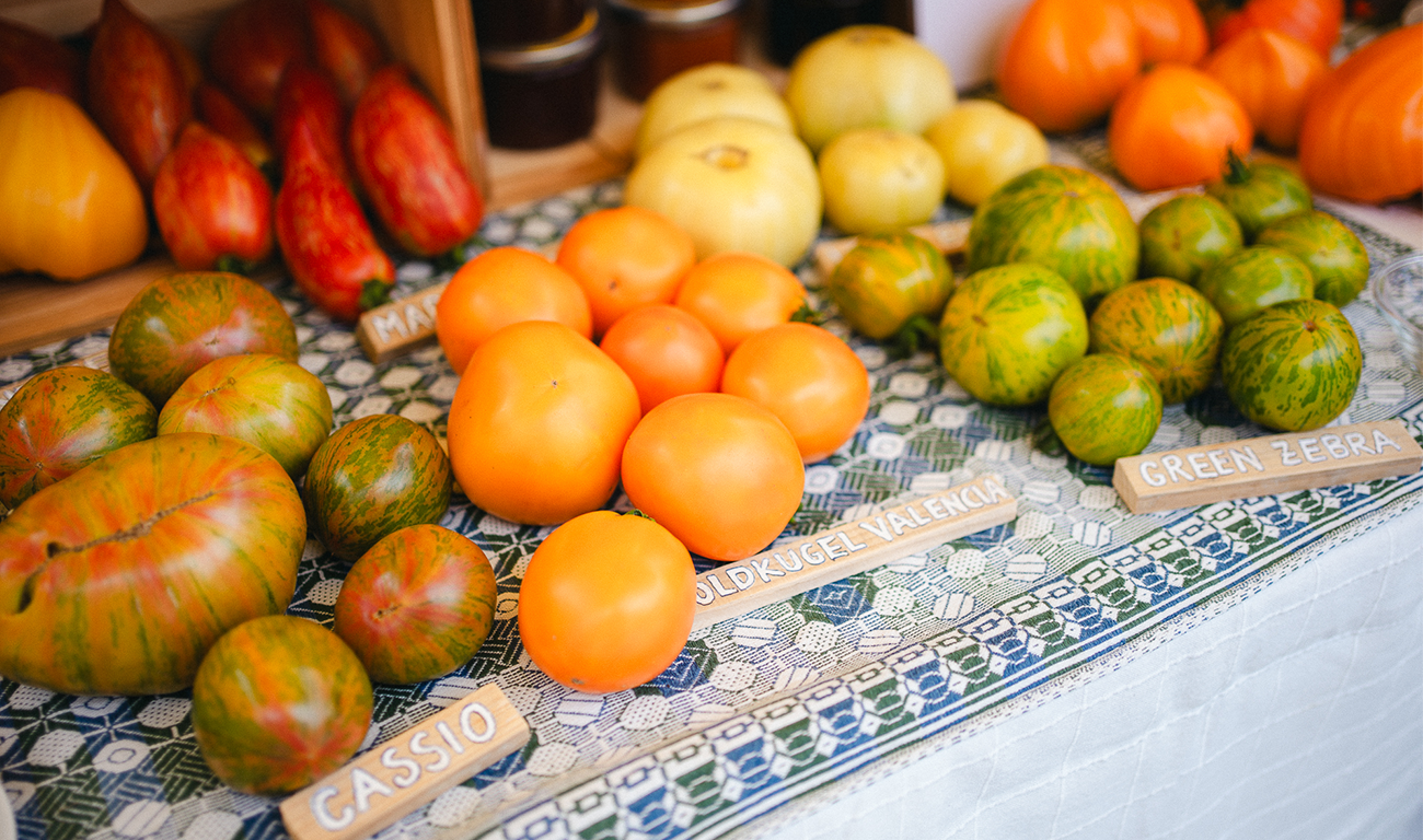 ...frische Tomaten vom Biohof Zaugg in Iffwil (Foto: Bio Bern/Jonas von Rotz)...